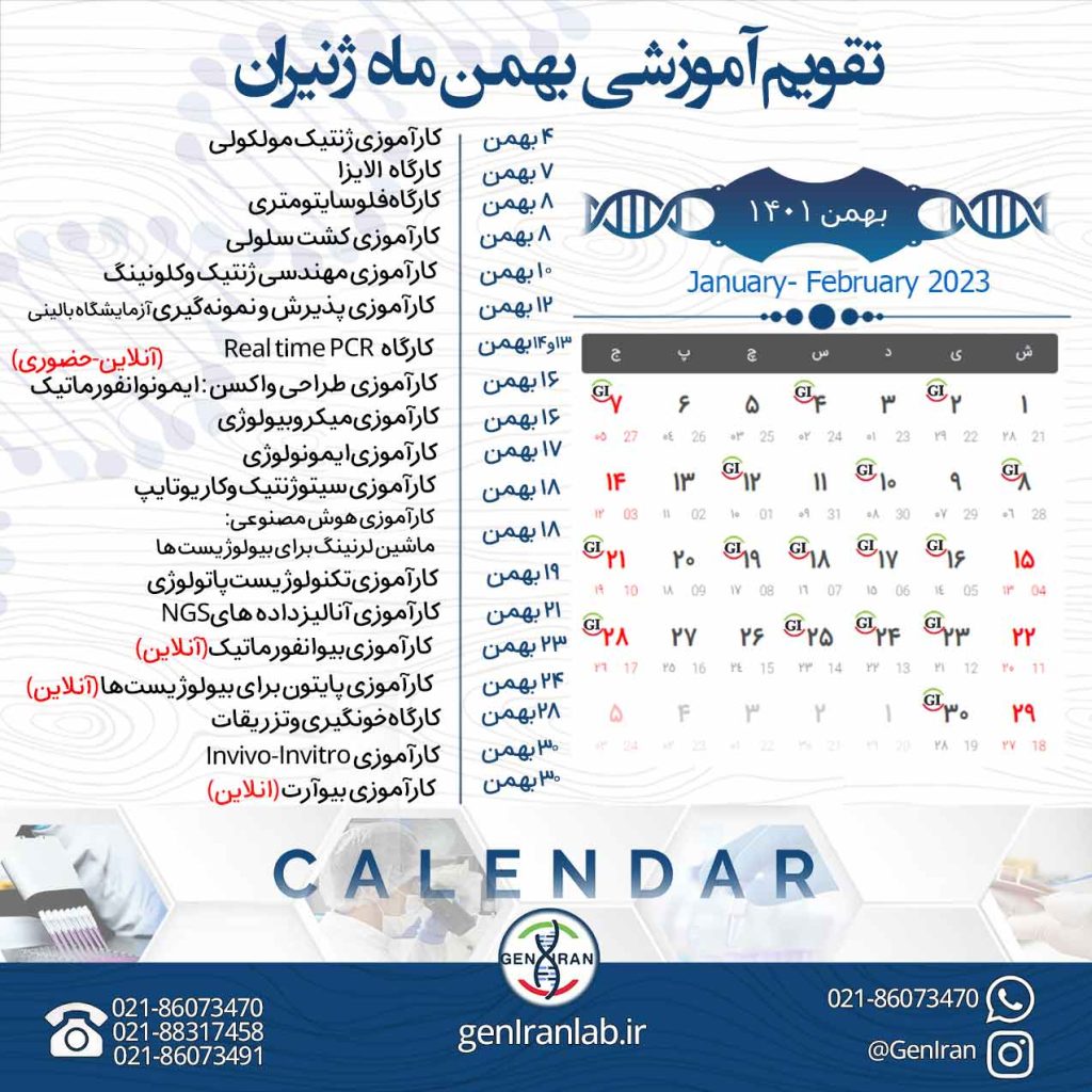 بهمن
