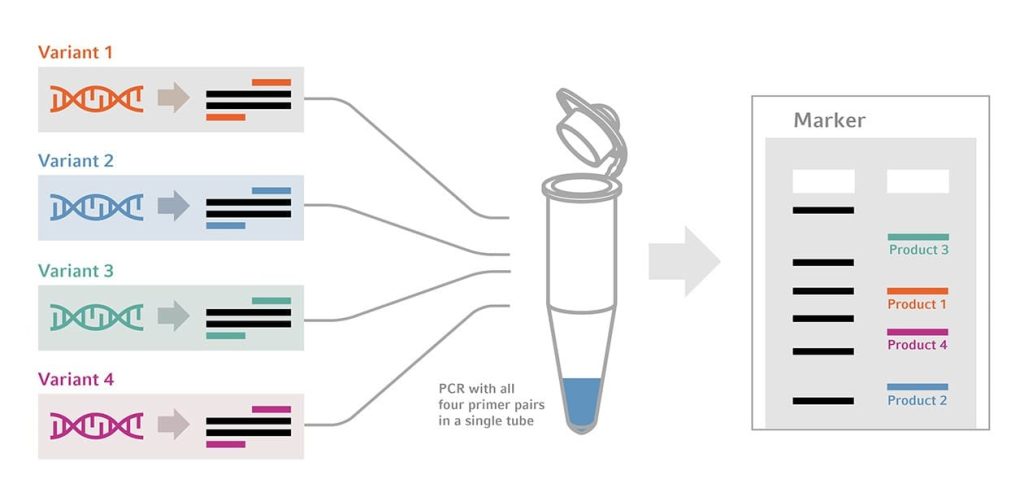 روش Multiplex PCR