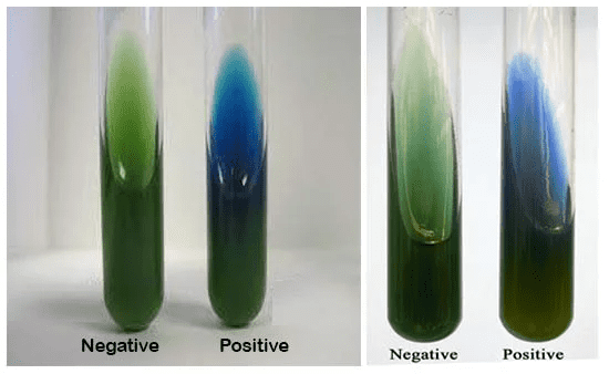 تفسیر نتیجه تست استفاده از سیترات