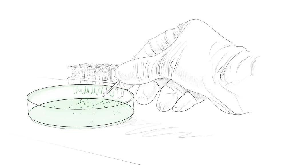 پروتئین نوترکیب