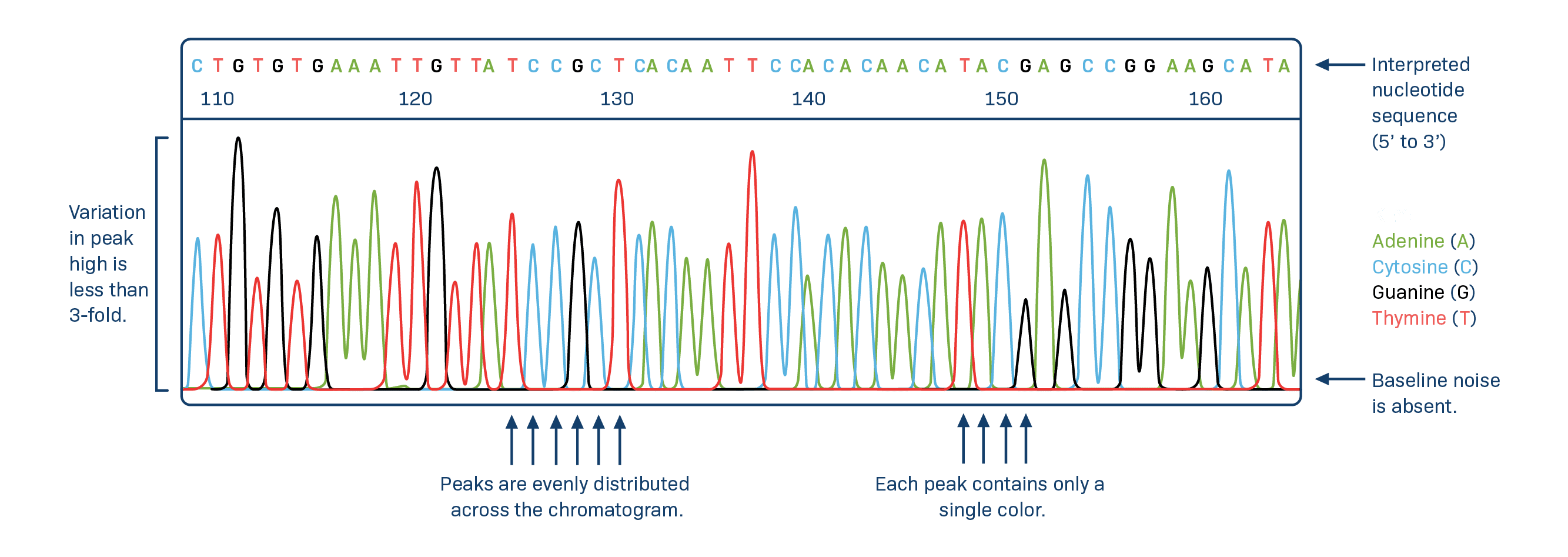 What Is Sequencing In Dna at Jacob Mauldin blog