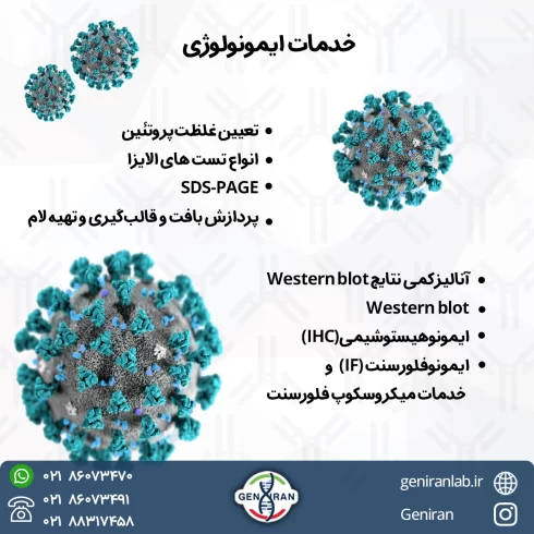 خدمات ایمونولوژی
