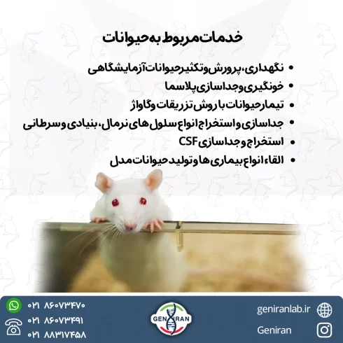 خدمات حیوانات آزمایشگاهی