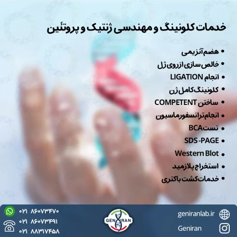 خدمات مهندسی ژنتیک و کاونینگ