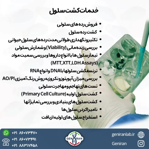 خدمات کشت سلول