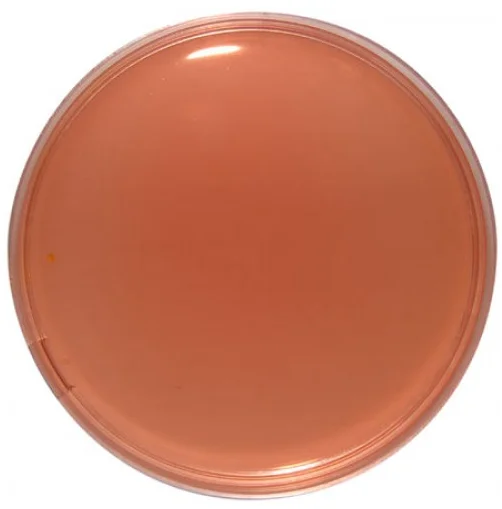 دئوکسی‌کولات سیترات آگار