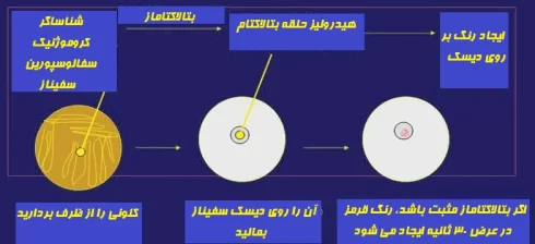 روش تست بتالاکتاماز