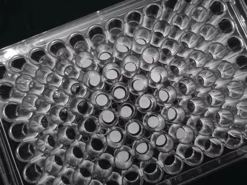 داربست مهندسی بافت در پلیت ۹۶ خانه