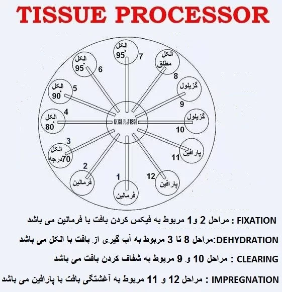 مراحل دستگاه تیشو پروسسور