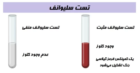 تست سلیوانف (Seliwanoff’s Test)