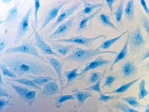 رنگ آمیزی سلول بطور اختصاصی برای تشخیص تمایز