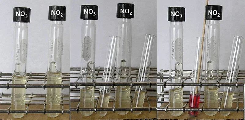 نتایج تست کاهش نیتریت