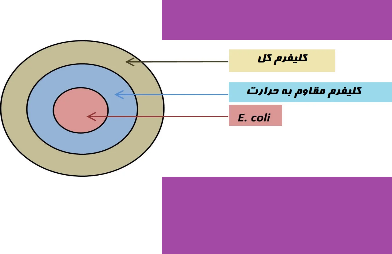 طبقه‌بندی باکتری های کلیفرم