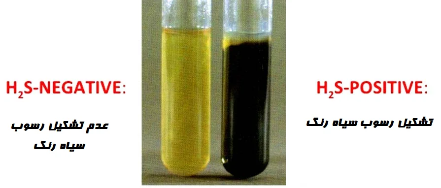نتایج تست کاهش سولفور