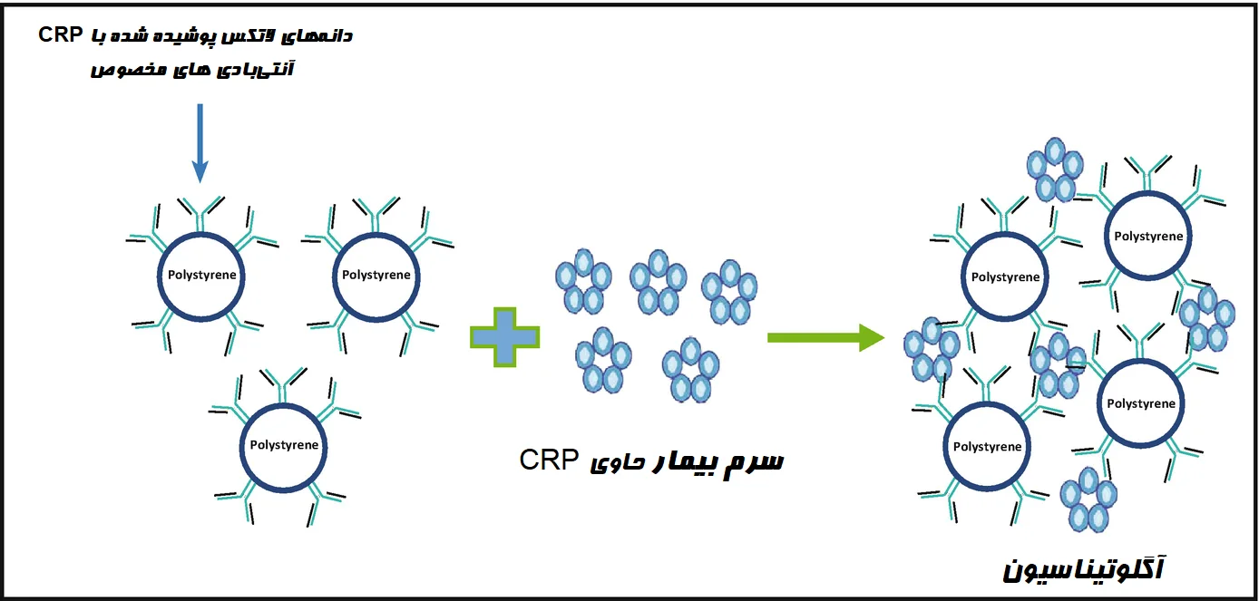 اصول تست آگلوتیناسیون لاتکس