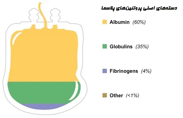 انواع دسته های پروتئین های پلاسما