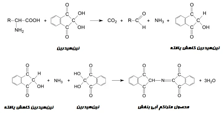 واکنش تست نین هیدرین
