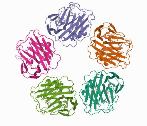 پروتئین های پلاسما
