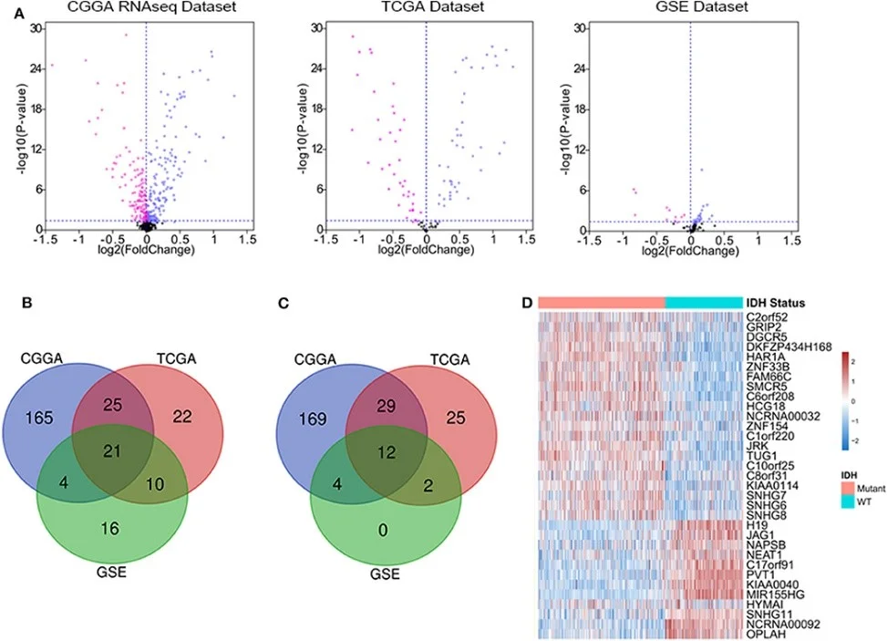 بیان lncrna