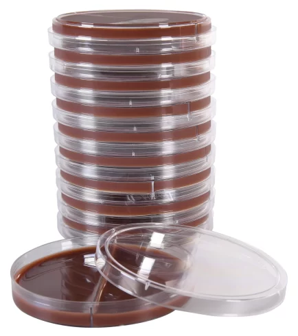 اصول تایر مارتین آگار