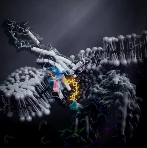 فعال شدن GPCR