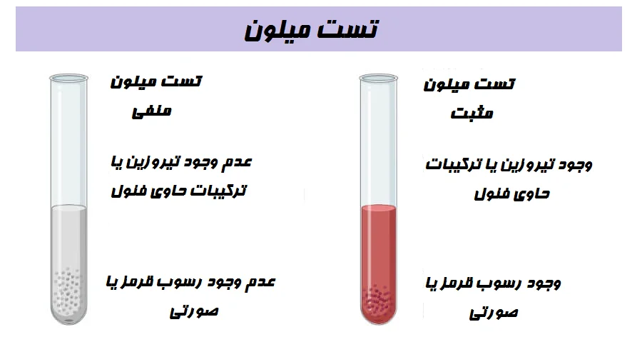 تفسیر نتایج تست میلون