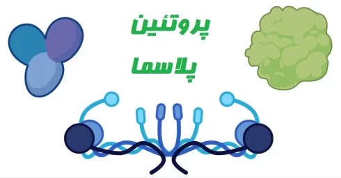 پروتئین های پلاسما