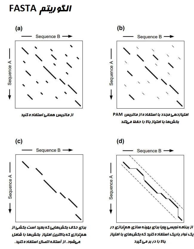 الگوریتم FASTA