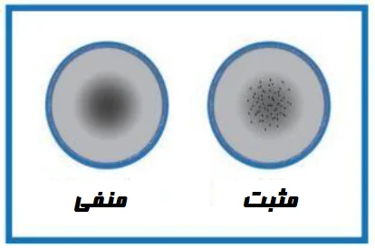 نتایج تست RPR