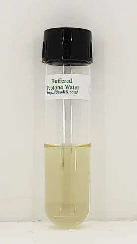 محیط کشت پپتون واتر