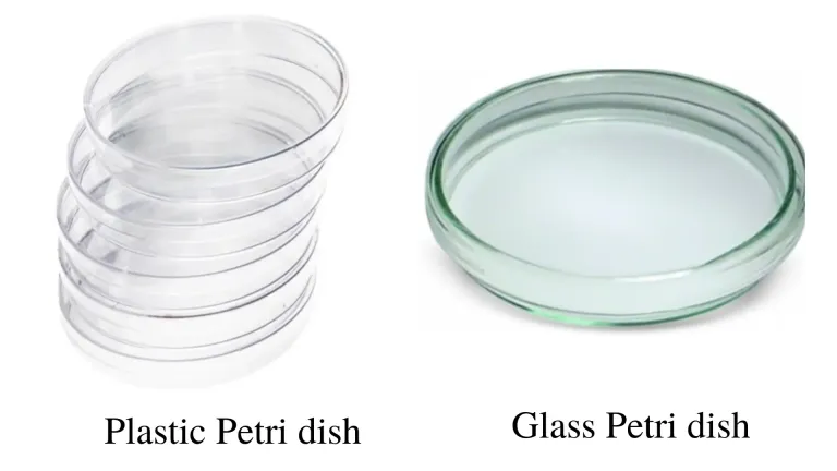 جنس پتری دیش