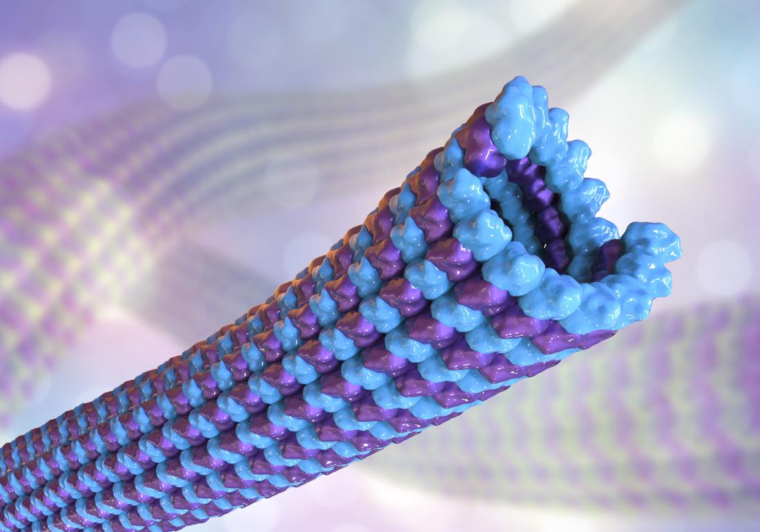 میکروتوبول ها