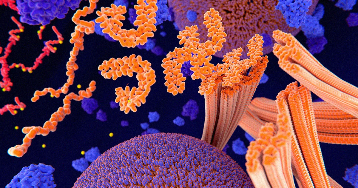 پروتئین تاو