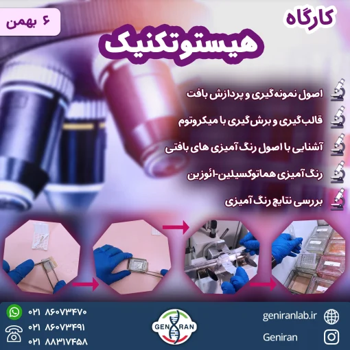 کارگاه هیستوتکنیک