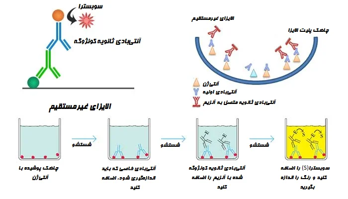 تکنیک الایزای غیر مستقیم