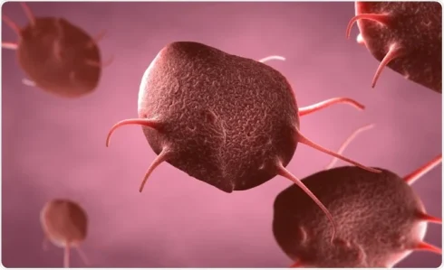 فلوسایتومتری در سنجش عملکرد پلاکت در نوزادان