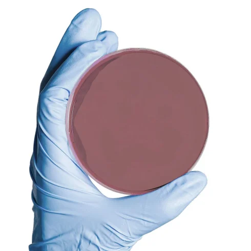 مارتین لوئیس آگار