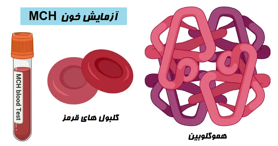 آزمایش خون MCH