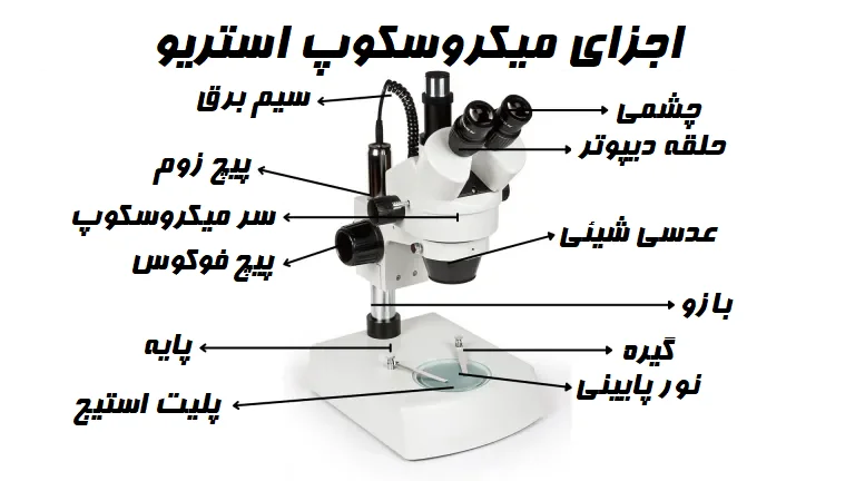 اجزای میکروسکوپ استریو