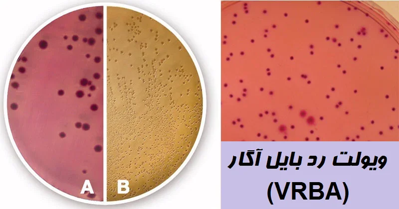 محیط کشت VRBA