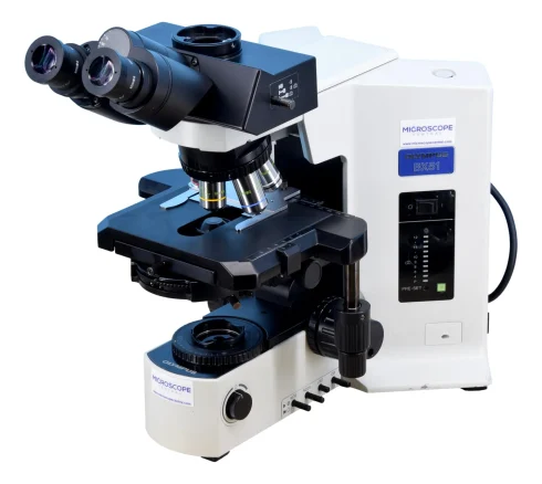 میکروسکوپ زمینه تاریک (Darkfield Microscope): تعریف، اصول، کاربردها و نمای آن