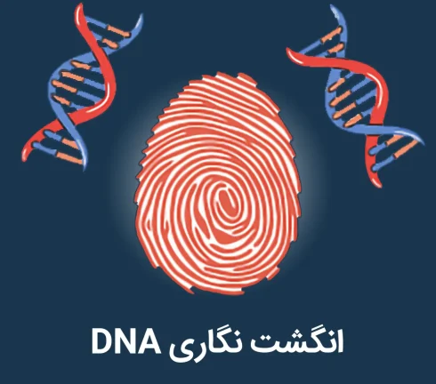 انگشت نگاری DNA چیست؟