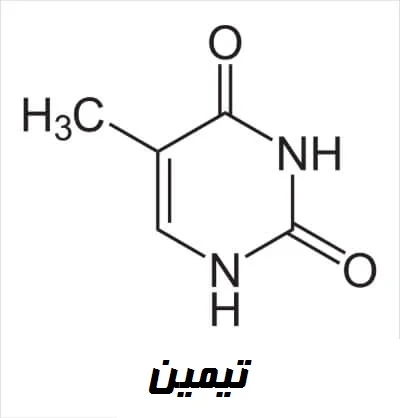 ساختار تیمین