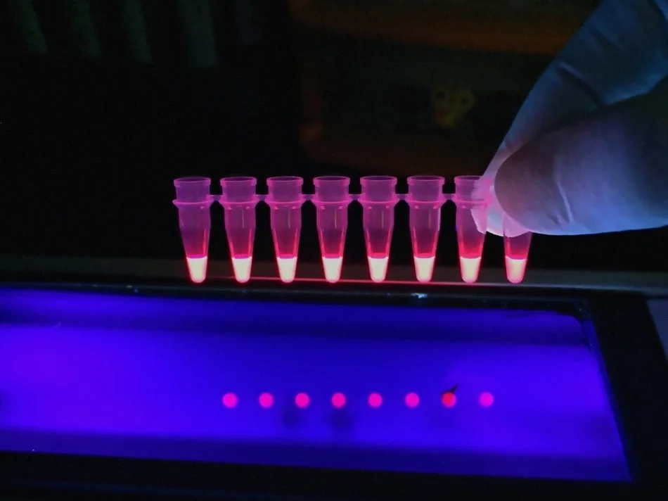 طیفسنجی فلورسانس (Fluorescence spectroscopy)