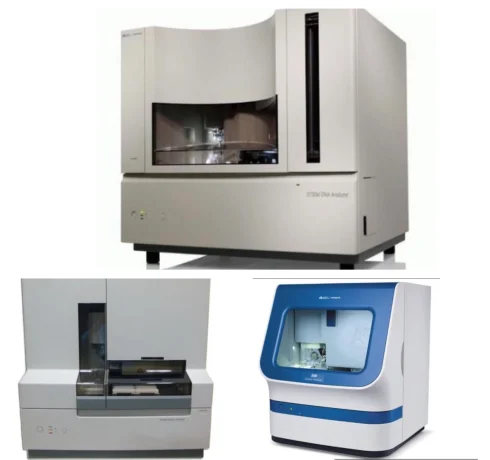 آنالایزر DNA چیست؟