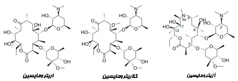 ساختار ماکرولیدها