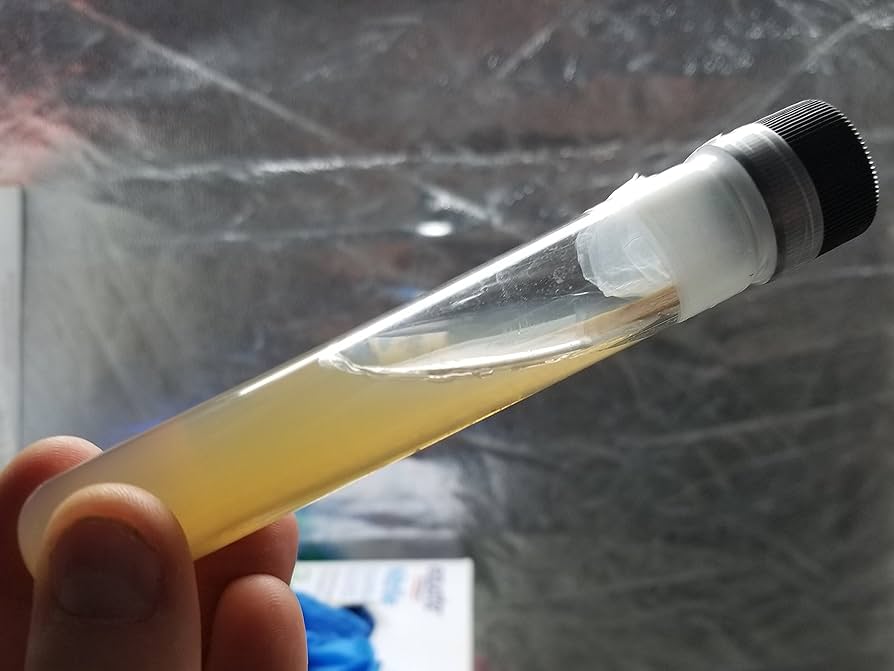 آگار کشت‌های شیب‌دار