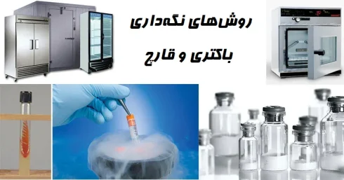روش‌های نگهداری باکتری و قارچ