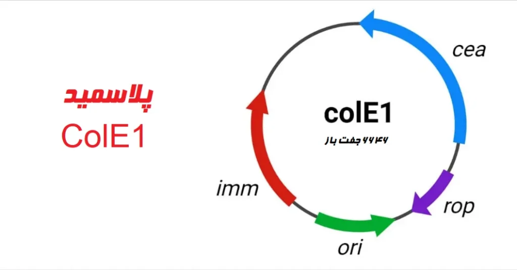 پلاسمید ColE1