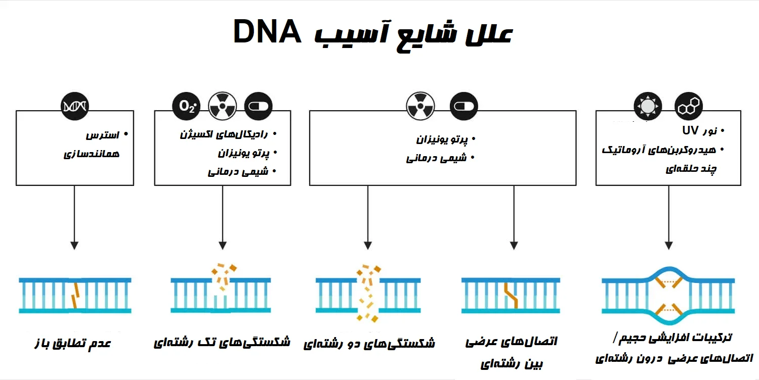 علل شایع آسیب DNA
